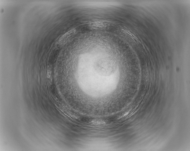 X0000059240749200510141102