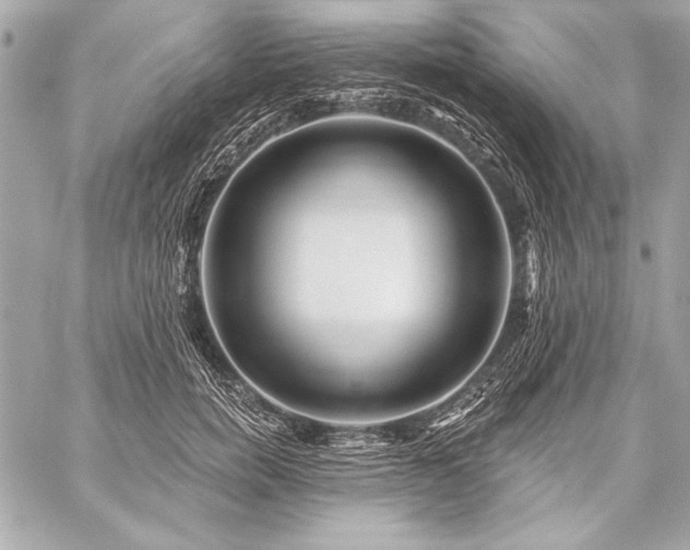 X0000059240750200510141102