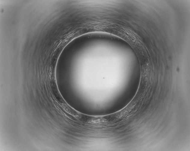 X0000059240752200510141102