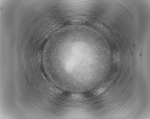 X0000059240753200510141102