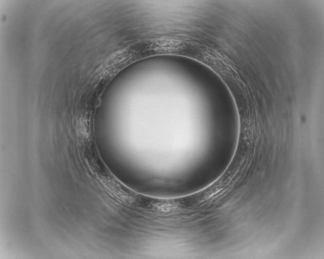 X0000059240755200510141102