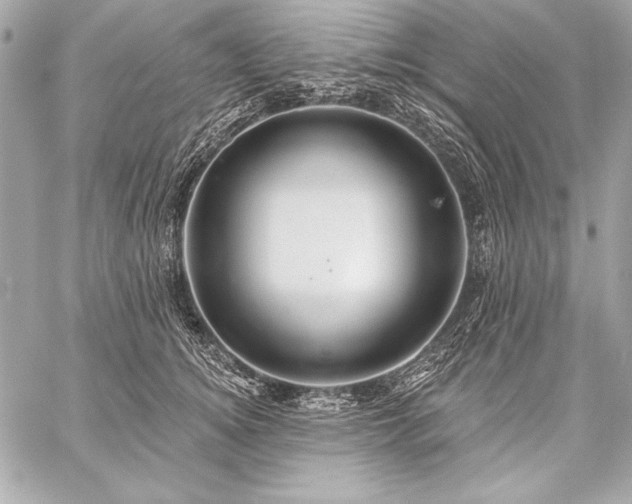 X0000059240756200510141102