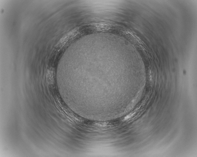 X0000059240757200510141102