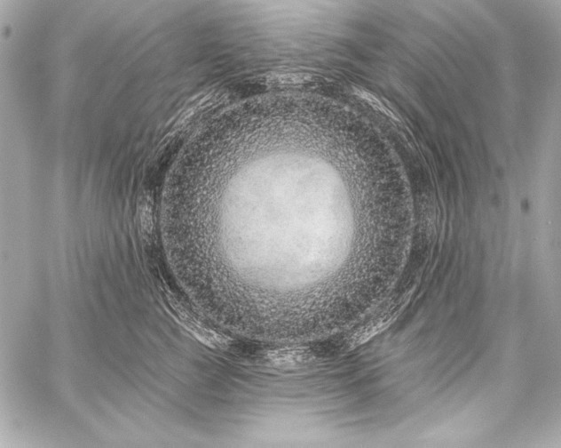 X0000059240761200510141102