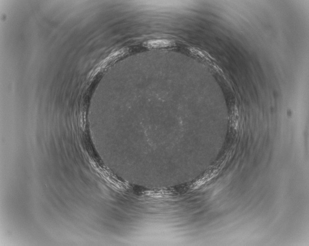 X0000059240763200510141102