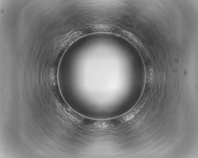 X0000059240764200510141102