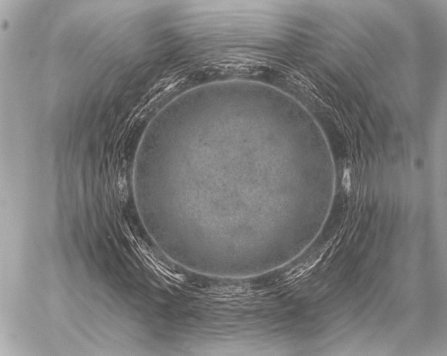 X0000059240771200510141102