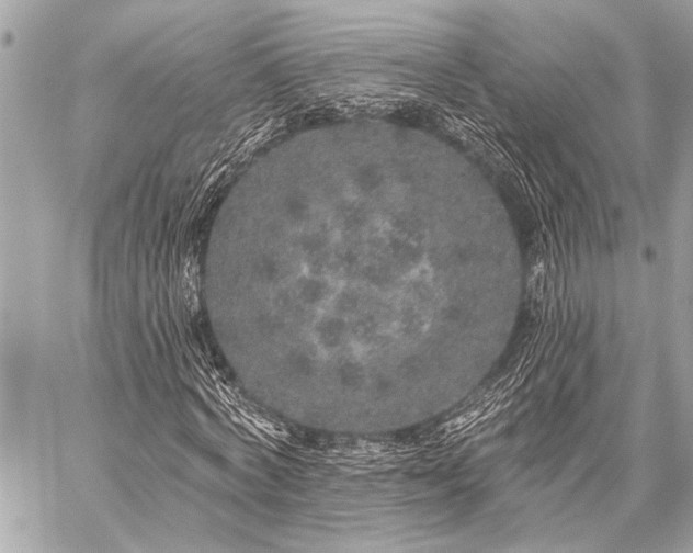 X0000059240772200510141102
