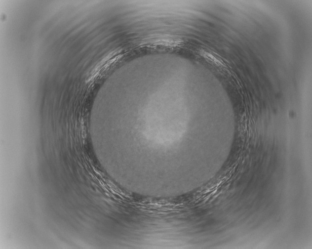 X0000059240774200510141102