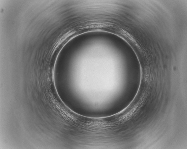 X0000059240786200510141101