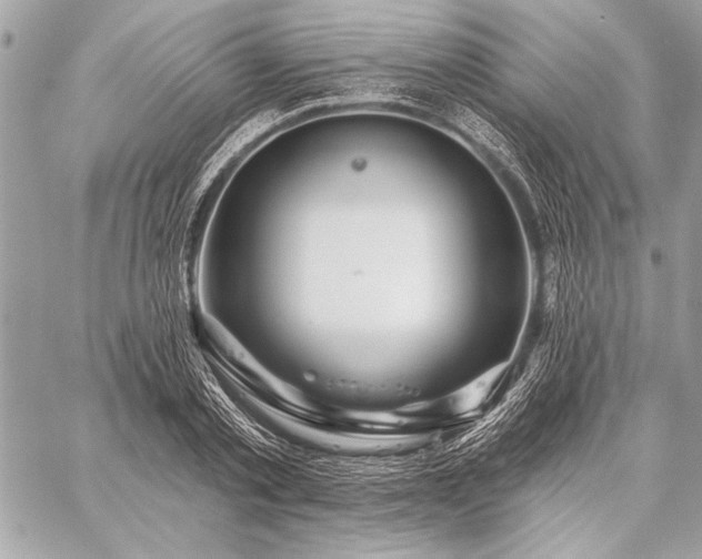 X0000059240789200510141101