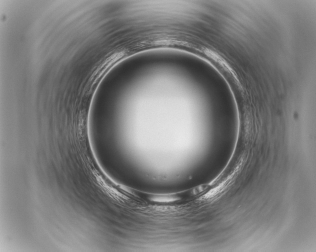 X0000059240801200510141101