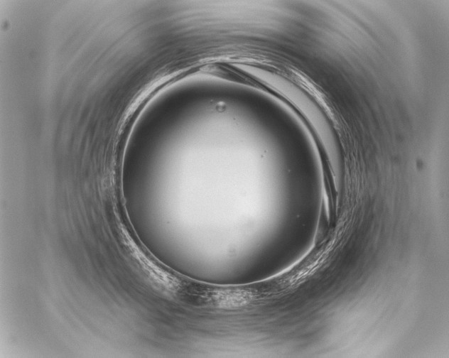 X0000059240803200510141101