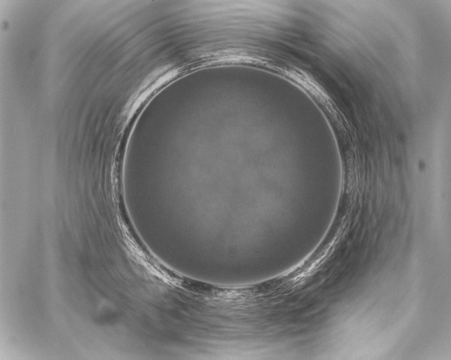 X0000059240806200510141101