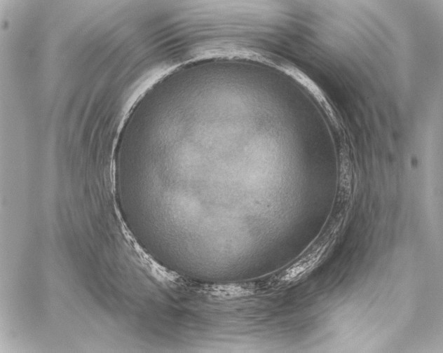 X0000059240807200510141101