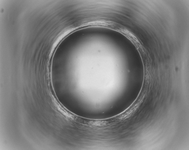 X0000059240808200510141101