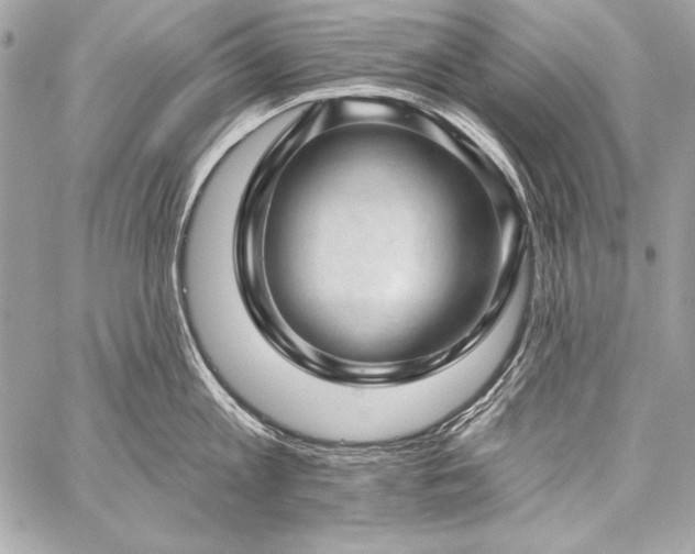 X0000059240813200510141101