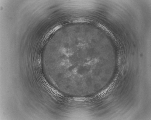 X0000059240825200510141100