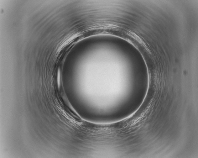 X0000059240826200510141100