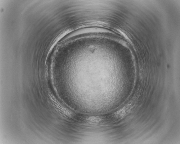 X0000059240835200510141100