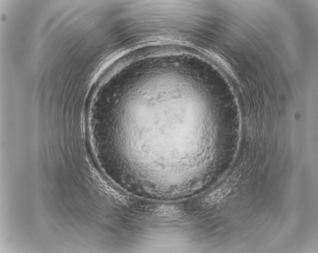 X0000059240839200510141100