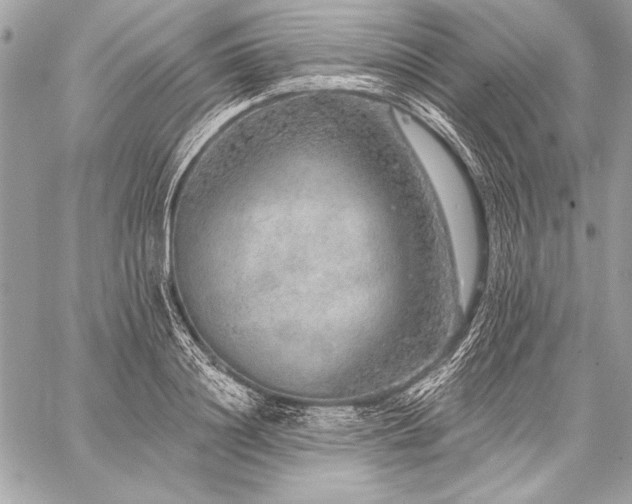 X0000059240844200510141101