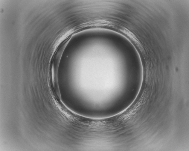 X0000059240850200510141101