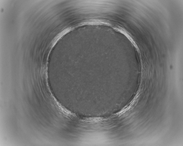 X0000059240853200510141101