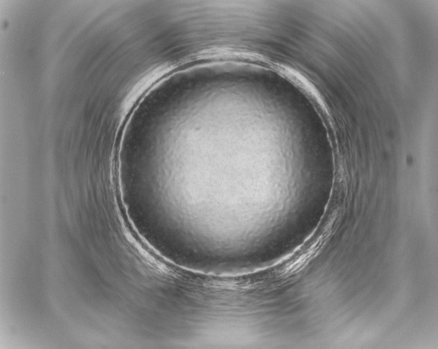 X0000059240855200510141101