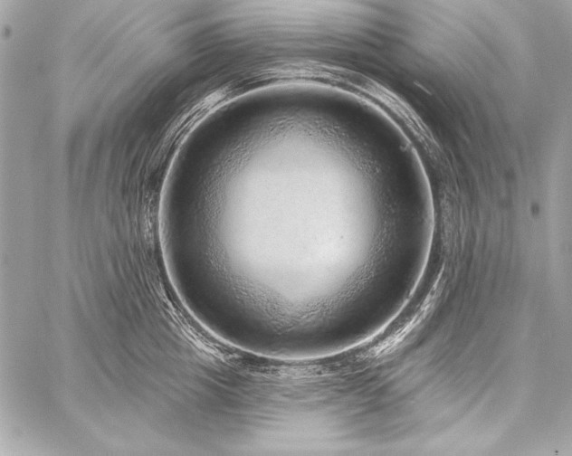 X0000059240857200510141101