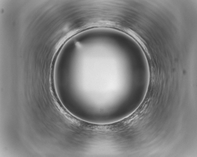 X0000059240861200510141101