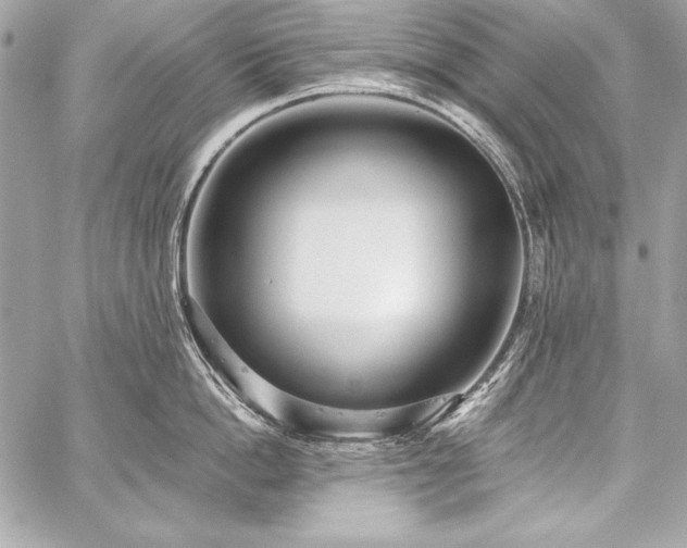 X0000059240862200510141101
