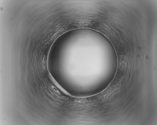 X0000059240866200510141100