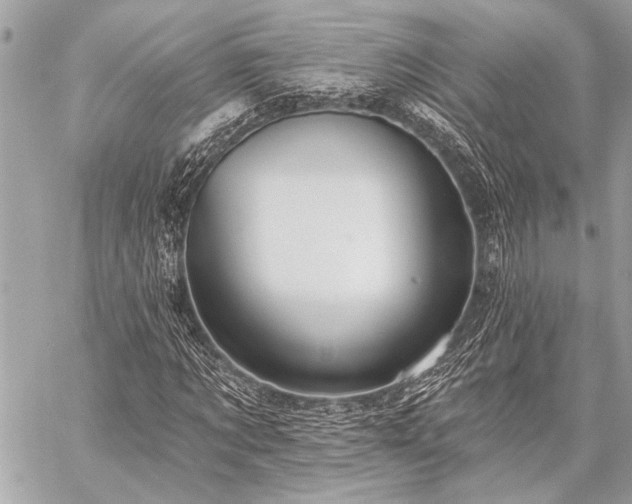 X0000059240869200510141100