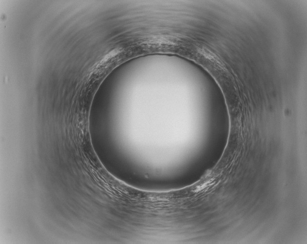 X0000059240870200510141100