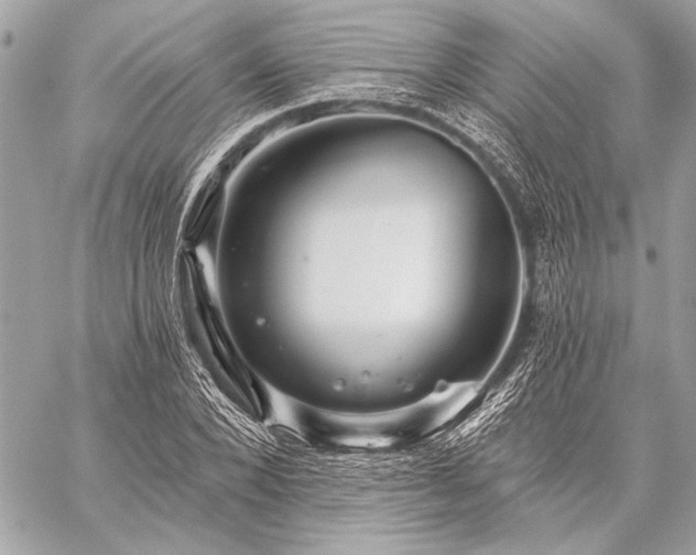 X0000059240880200510141100