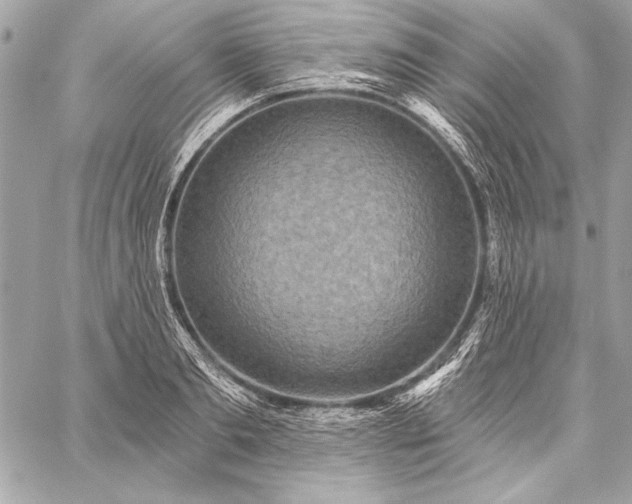 X0000059240893200510141100