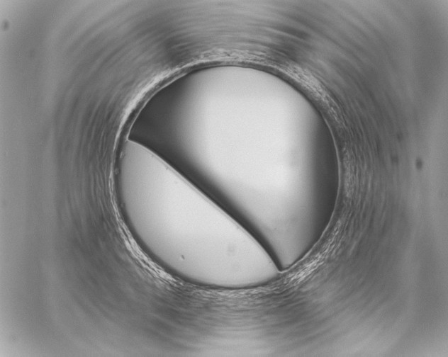 X0000059240896200510141100