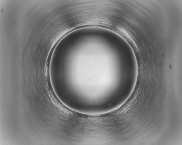 X0000059240900200510141100