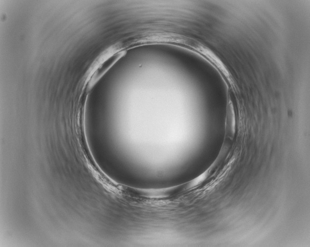 X0000059240909200510141059