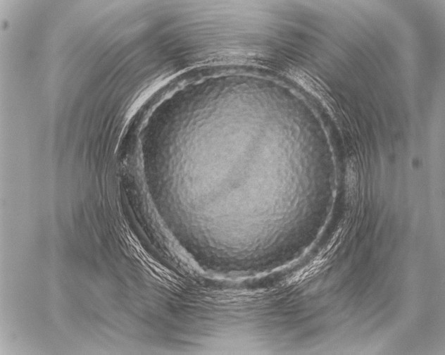 X0000059240925200510141059