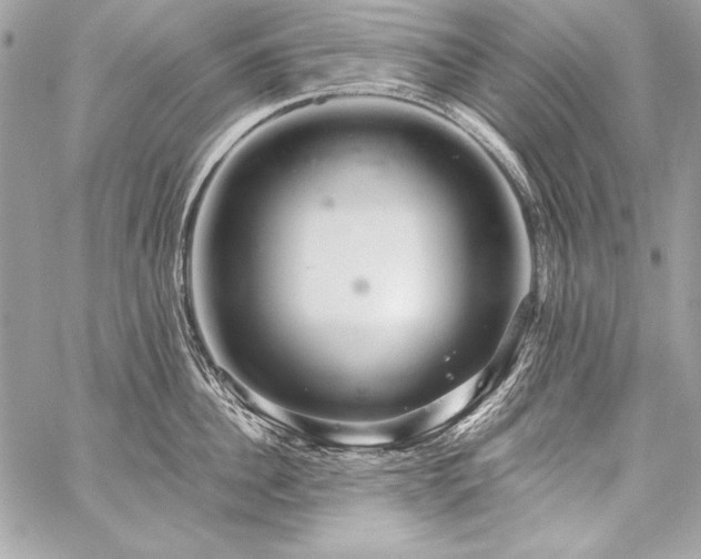 X0000059240956200510141059