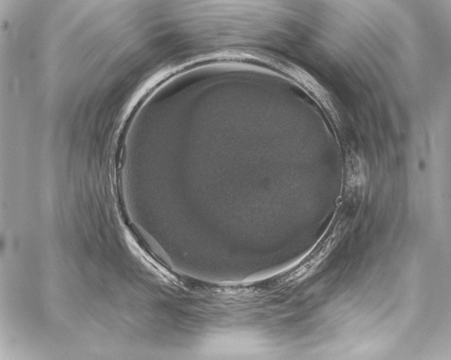 X0000059240958200510141059
