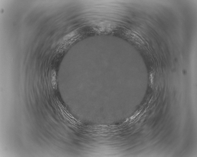 X0000059240963200510141059