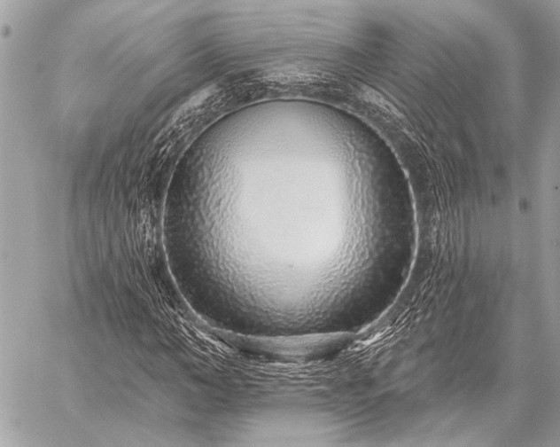 X0000059240966200510141058