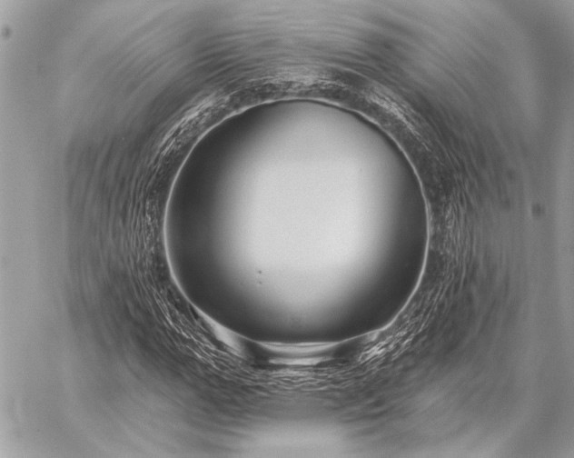 X0000059240967200510141058