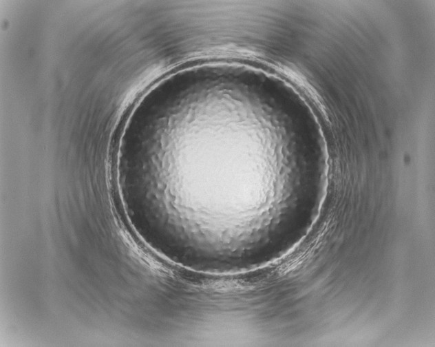 X0000059240998200510141058