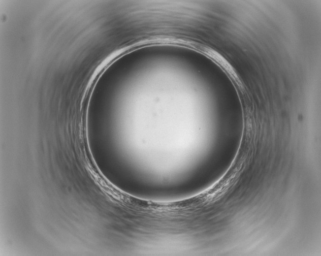 X0000059241004200510141058