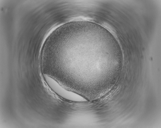 X0000059241008200510141058
