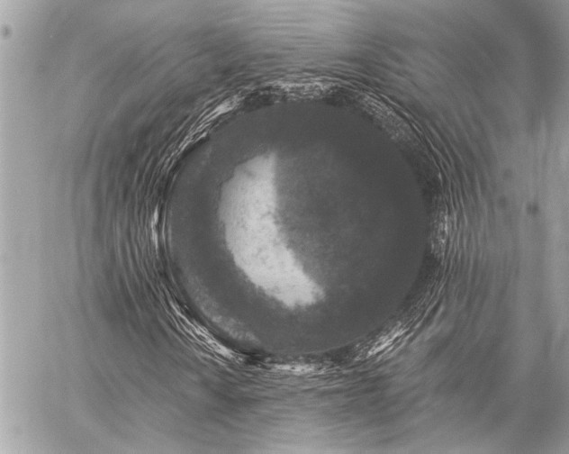 X0000059241010200510141057